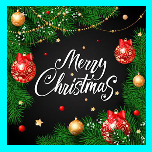 Merry Christmas Wish Card Card